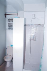 a bathroom with a shower and a toilet at Buttercup Cottage Apartments in Arnos Vale