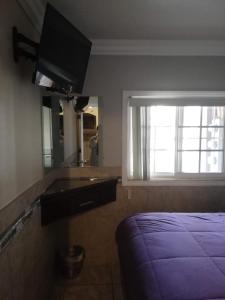 Suites Leon Rojo في تيخوانا: غرفة نوم بسرير ونافذة كبيرة