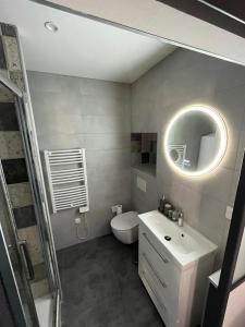 a bathroom with a toilet and a sink and a mirror at Privilège Spa, jacuzzi & Sauna 