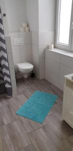 a bathroom with a toilet and a blue rug at Ferienwohnung Schloessel 26-26 in Vienna