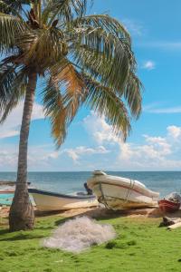 - un bateau sur la plage à côté d'un palmier dans l'établissement Dahlandia, à Isla Mucura