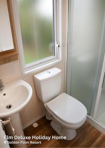 a bathroom with a toilet and a sink and a window at Elm Deluxe Holiday Home in Chapel Saint Leonards