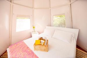 a small bedroom with a bed with a basket on it at Cerro Tusa Glamping in Titiribí