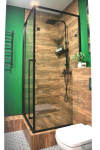a bathroom with a shower with a toilet at Cozy two-room apartment in Istanbul