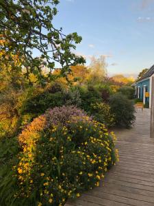 Galeriebild der Unterkunft Les Chambres d'Hôtes de Bordustard in Le Palais