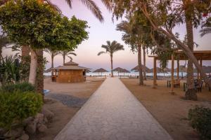 a walkway leading to a beach with palm trees at Palmera Chalets Owners Best Vacation Group Families only in Ain Sokhna