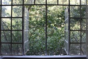 una ventana abierta con vistas a un árbol en Am Condesa en Ciudad de México