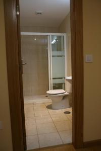 a bathroom with a toilet and a shower at Albergue La Encina in Hospital de Órbigo