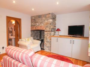 a living room with a couch and a fireplace at Carnorfa in Newport Pembrokeshire