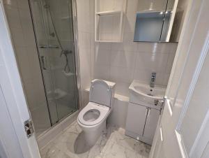 a bathroom with a toilet and a shower and a sink at Shoreditch & Liverpool Street Room B in London