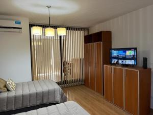 uma sala de estar com um sofá e uma televisão de ecrã plano em Apart Archipiélago em Rosário