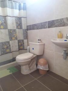 a bathroom with a toilet and a sink at El Guadual Casa Campestre in Ibagué