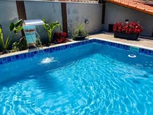 a large blue swimming pool with plants and flowers at Pousada dos Sonhos - MP in Miguel Pereira