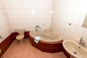 a bathroom with a tub and a toilet and a sink at Pension U Kohoutů in Horní Planá