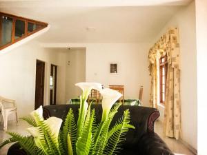 Area soggiorno di Glenfall Guest