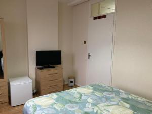 TV a/nebo společenská místnost v ubytování Eltar Hostle + 13 fotografií