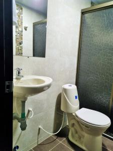 La salle de bains est pourvue de toilettes et d'un lavabo. dans l'établissement Comfort Club Guatavita - Apartamento Completo, à Guatavita