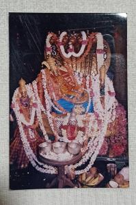 Gambar di galeri bagi Vishnu Regency di Belūr