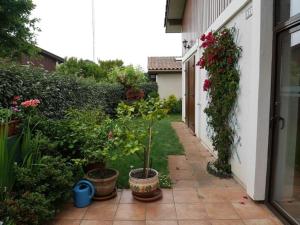 a garden with potted plants on the side of a house at Villa Capbreton, 4 pièces, 6 personnes - FR-1-413-106 in Capbreton