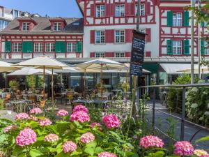 Zahrada ubytování Hotel Hofgarten Luzern