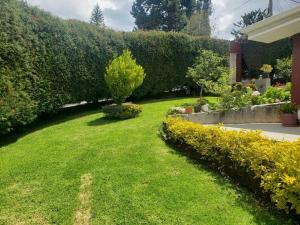 un patio con césped verde y flores y arbustos amarillos en Excepcional Villa dulce Raquel chimenea y horno, en Cuenca