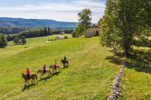 Zvieratá v apartmáne alebo blízkom okolí