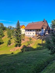 a house on top of a grassy hill at Ferienwohnung Holiswald in Oppenau