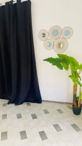 Foto sihtkohas Pointe-à-Pitre asuva majutusasutuse Urban Zen Appart Spacieux studio atypique avec bain a remous proche de tout galeriist