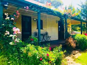 Red Hill Cottage Walcha外面的花园