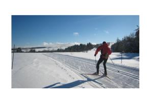 Facet biegnie na nartach w śniegu w obiekcie Chambre paisible avec vue sur la montagne w mieście Conliège