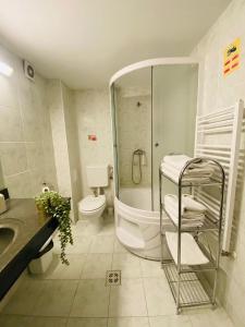 a bathroom with a shower and a toilet and a sink at Hanul Fullton in Cluj-Napoca