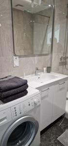 a bathroom with a washing machine and a sink at Les Vallées in Thonon-les-Bains
