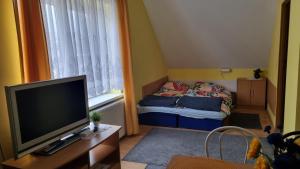 イェレニャ・グラにあるPokoje Gościnne Karinaの小さなリビングルーム(テレビ、ベッド付)