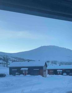 Gaustablikk - ski in & out apartment - Mountain View im Winter