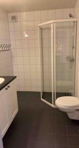 a bathroom with a shower with a toilet and a sink at Gaustablikk - ski in & out apartment - Mountain View in Gaustablikk