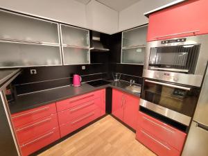 Dapur atau dapur kecil di Appartement LARA SPA Čeladná