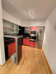 Kuchyň nebo kuchyňský kout v ubytování Appartement LARA SPA Čeladná