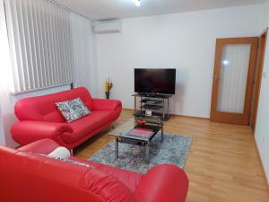 TV a/nebo společenská místnost v ubytování Appartement LARA SPA Čeladná