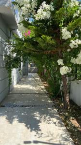 Una acera con un árbol con flores blancas. en ANTALYA BELeK MERMAİD VİLLAS, en Belek