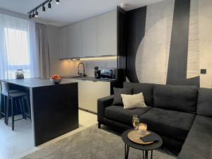 カトヴィツェにあるURBAN APARTMENTS PREMIUM DOWNTOWN Opolska 10 No 89 with GARAGEのリビングルーム(ソファ付)、キッチン