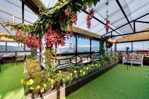 a greenhouse filled with lots of plants and flowers at Sumitel Vista 800m from Mall Road in Darjeeling +45 photos