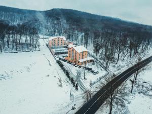 Photo de la galerie de l'établissement Aqua Metropol, à Băile Felix