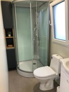 a bathroom with a shower and a toilet at Mobile homes Tina Pakoštane in Pakoštane