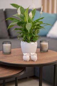 A seating area at Sofilins Luxury Suite