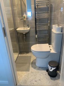 a bathroom with a toilet and a sink at Rockwood Lodge in Drogheda +33 photos