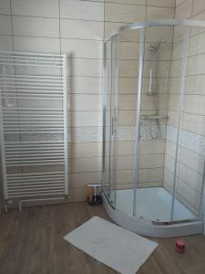 Koupelna v ubytování Apartma Dominik