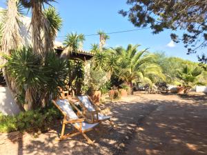 dos sillas de jardín sentadas en un patio con palmeras en Apartamentos Laura Playa de Migjorn en Playa de Migjorn
