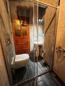 a bathroom with a shower and a toilet and a sink at Dream House in Istanbul