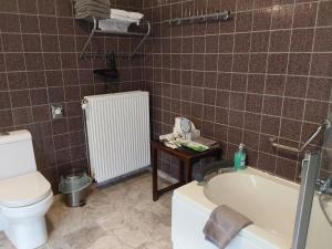 a bathroom with a toilet and a bath tub at Hotel Golden Dragon in Dessel