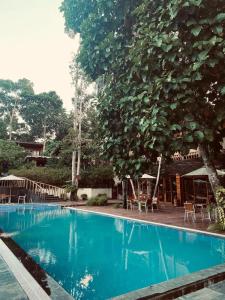 Piscina a De Foret o a prop